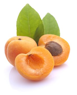 Aprikosen
