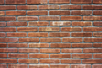 Fototapeta premium Brick wall texture