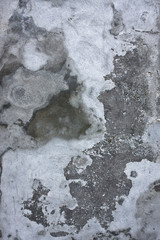 Grungy cement wall texture