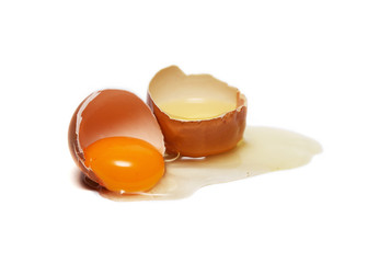 Broken Hen's Egg