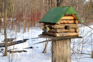 Birdhouse