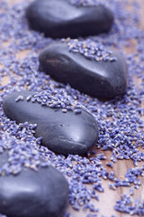 Fototapeta na wymiar Luxury with lavender
