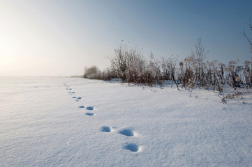 traces snow landscape