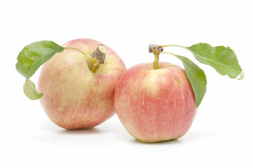 organic apples