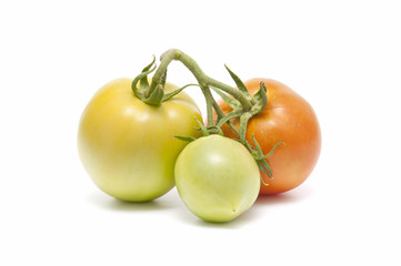 organic tomatoes