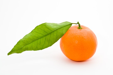 Mandarin orange