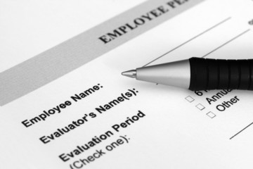 Employment form