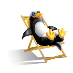 pinguino in spiaggia © Piumadaquila.it