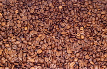 Many coffee beens texture