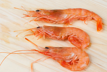 Prawns