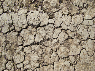 Dried earth in cracks