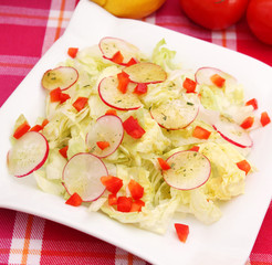 frischer Salat