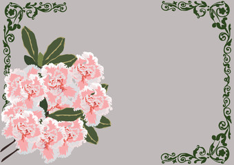 pink flowers in dark frame design