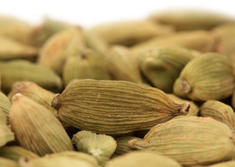 Cardamom or cardamon green elettaria