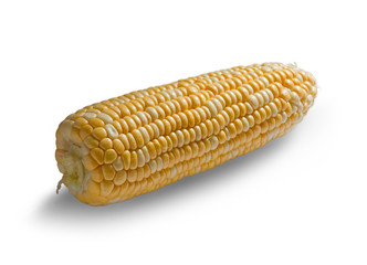Corn on the cob