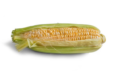 Corn on the cob