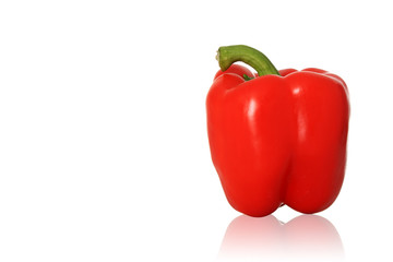 Frische Paprika