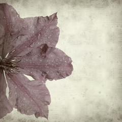 textured old paper background with purple clematis flower