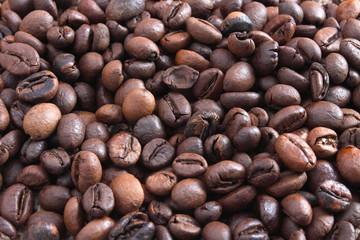 Caffè in grani
