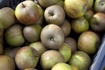 pile of apples in box at market