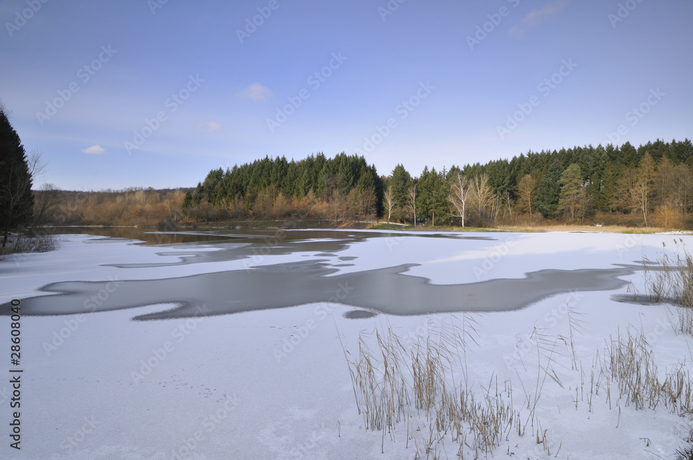 Wall mural Frozen pond