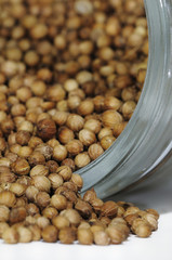 Koreandersamen im Glas