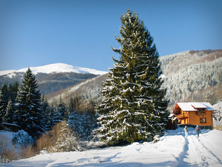 Fototapeta premium Winter house in fir-tree forest