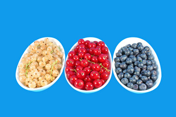 Colorful berries