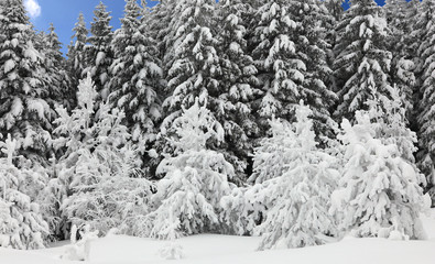 neige