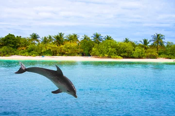 Selbstklebende Fototapete Delfin Der Delfin springt aus den Wellen des Ozeans