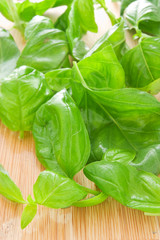Basil