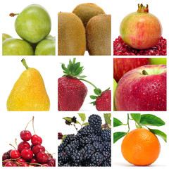 fruits collage