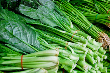 fresh asian kale lettuce in market