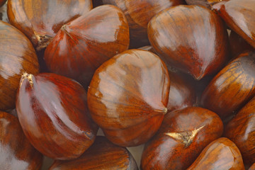 close up chestnuts