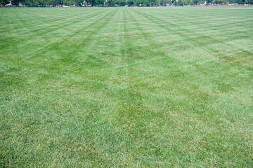 Wide Angle Lawn With Criss-Cross Mowing Marks