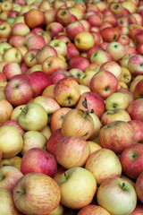 Red and yellow apples