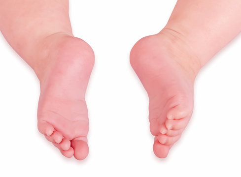 little gentile rose foots of the baby