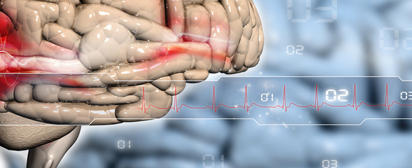 Brain in abstract background