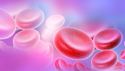 blood cells