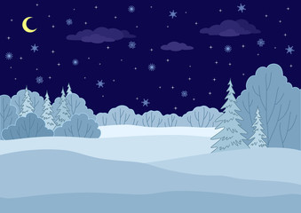 Landscape, winter forest night