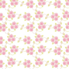 rose background