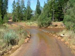 Route sauvage, Nouvelle Cal&eacute;donie