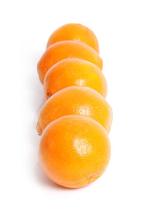 Oranges in line.