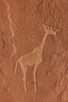 Twyfelfontein, Giraffe