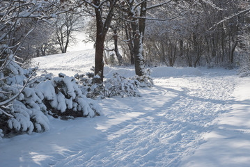 Winter View