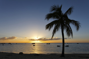 Fototapeta na wymiar Coucher de soleil sur les récifs coralliens dans les Caraïbes