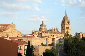 Fototapeta na wymiar Salamanca Skyline