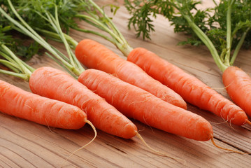 carote quattro