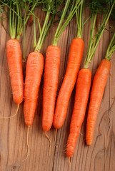 carote cinque