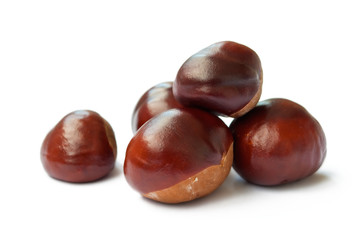 horse chestnuts